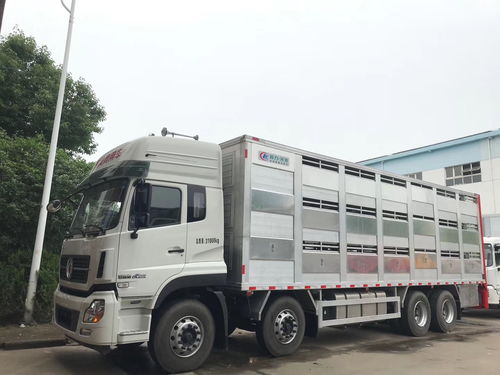 甘孜州生猪运输车 高原畜牧流通的专业保障